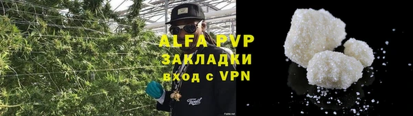 ECSTASY Горняк