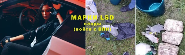 ECSTASY Горняк
