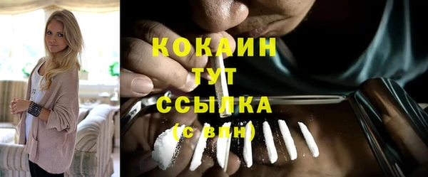 ECSTASY Горняк