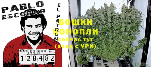 мдпв Гусиноозёрск