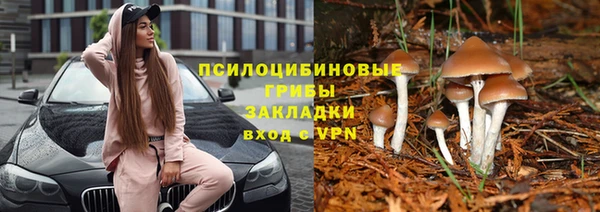 ECSTASY Горняк