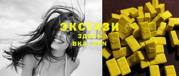 ECSTASY Горняк
