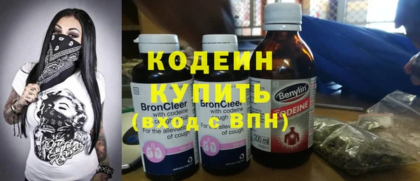 хмурый Горно-Алтайск